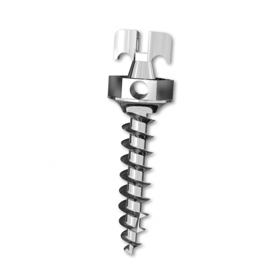 Bracket Head (Left handed screw)