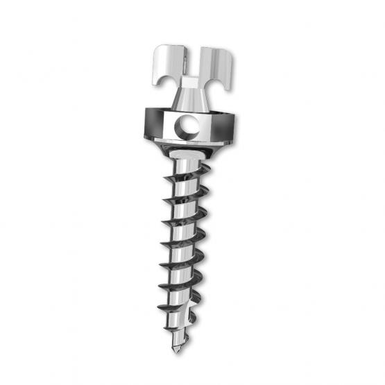 Bracket Head (Right handed screw)